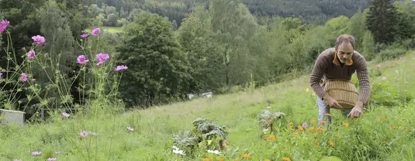 Autour de Colmar, une bio florissante